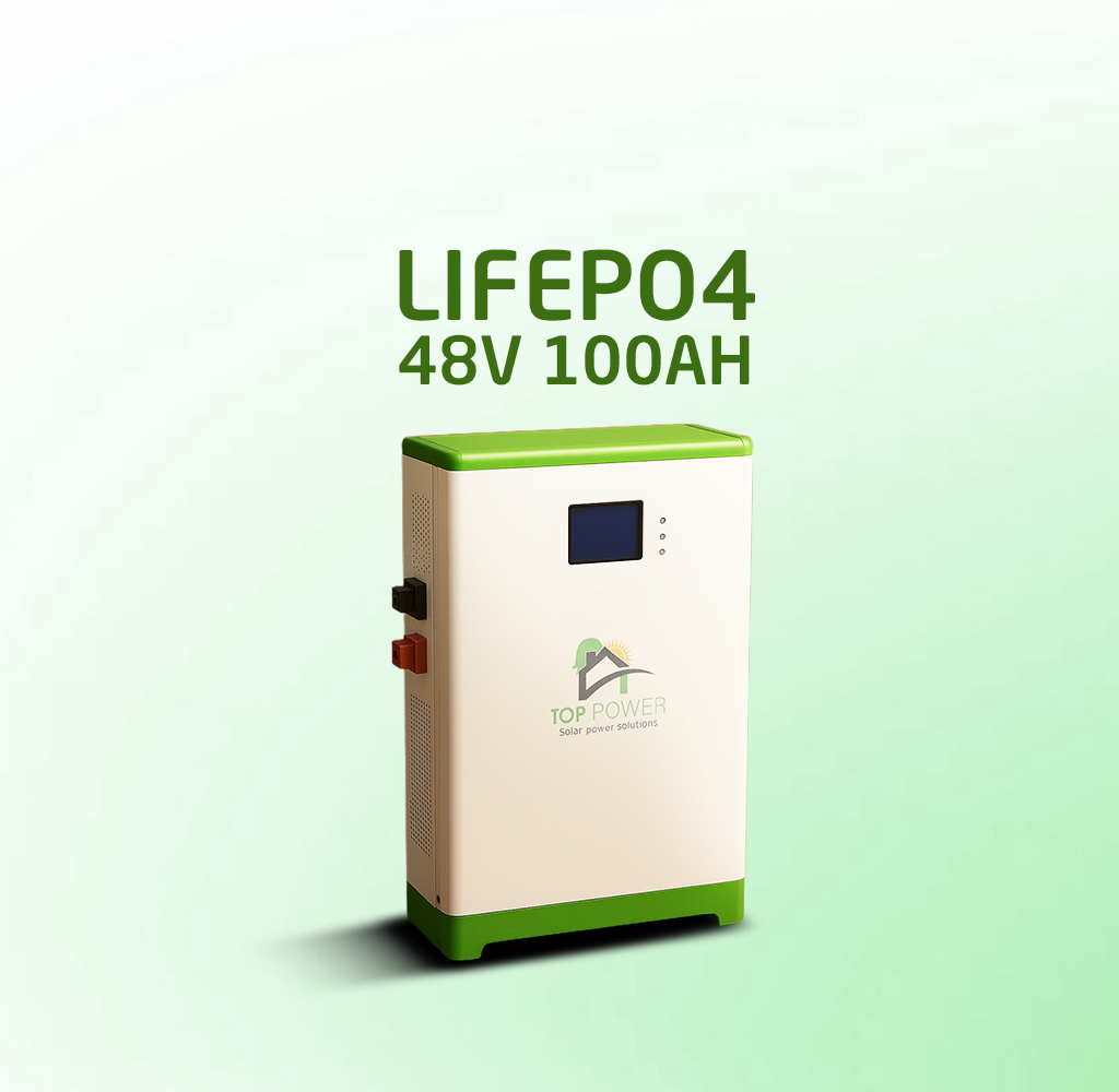 life 48 V